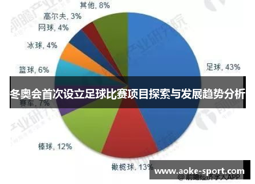 冬奥会首次设立足球比赛项目探索与发展趋势分析