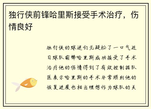 独行侠前锋哈里斯接受手术治疗，伤情良好