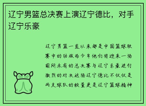 辽宁男篮总决赛上演辽宁德比，对手辽宁乐豪